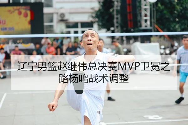 辽宁男篮赵继伟总决赛MVP卫冕之路杨鸣战术调整