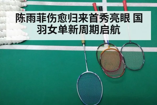 badminton court match